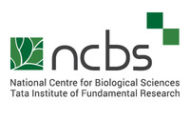 NCBS Recruitment 2022 – Apply Online for Various Technical Assistant (Civil) Posts