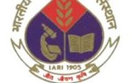 IARI Recruitment 2022 – Apply Walk in Interview for Various Assistant Posts