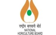 NHB Recruitment 2022 – Apply Online/Offline for 17 YP Posts