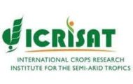 ICRISAT Recruitment 2022 – Apply Online For Various Scientific Officer Posts