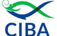 CIBA Recruitment 2022 – Apply E-mail for Various Young Professional Posts