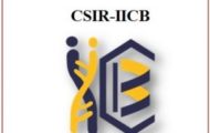 CSIR IICB Recruitment 2022 – Apply 19 JRF Posts