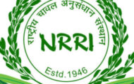 NRRI Recruitment 2022 – Apply Various Project Assistant Posts