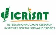 ICRISAT Recruitment 2022 – Apply Various Program Director, officer Post