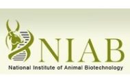 NIAB Recruitment 2022 – Apply Various Assistant Posts
