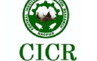 ICAR-CICR Recruitment 2022 – Walk-In-Interview for Various Young Professionals Post