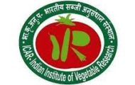 IIVR Recruitment 2022 – Apply Various Technical Assistant Posts