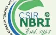 NBRI Recruitment 2022 – Apply Various Project Associate Posts