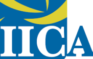 IICA Recruitment 2022 – Apply E-mail for Various Research Associate Posts