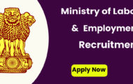 Ministry of Labour and Employment Recruitment 2022 – Apply Online for 130 YP Posts