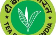 Tea Board of India Recruitment 2022 – Apply Offline For Various Chemist, Assistant Posts