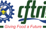 CFTRI Recruitment 2022 – Apply Online For Various Project Associate Posts
