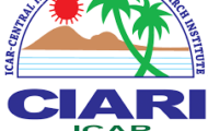 CIARI Recruitment 2022 – Apply Offline for 11 Project Assistant Posts